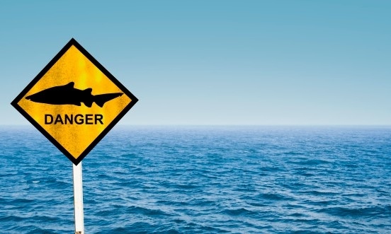 Втора жена е загинала при нападение на акула в Египет